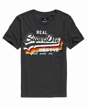 Superdry Vintage Logo Rainbow Shadow Női Pólók Szürke | FZPJO7182